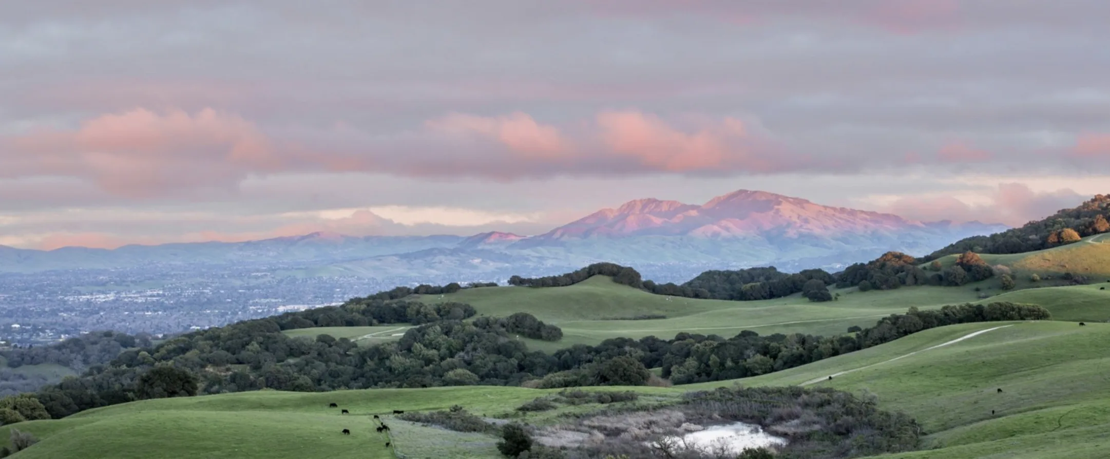 Landscape - Testimonials